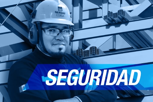 Seguridad