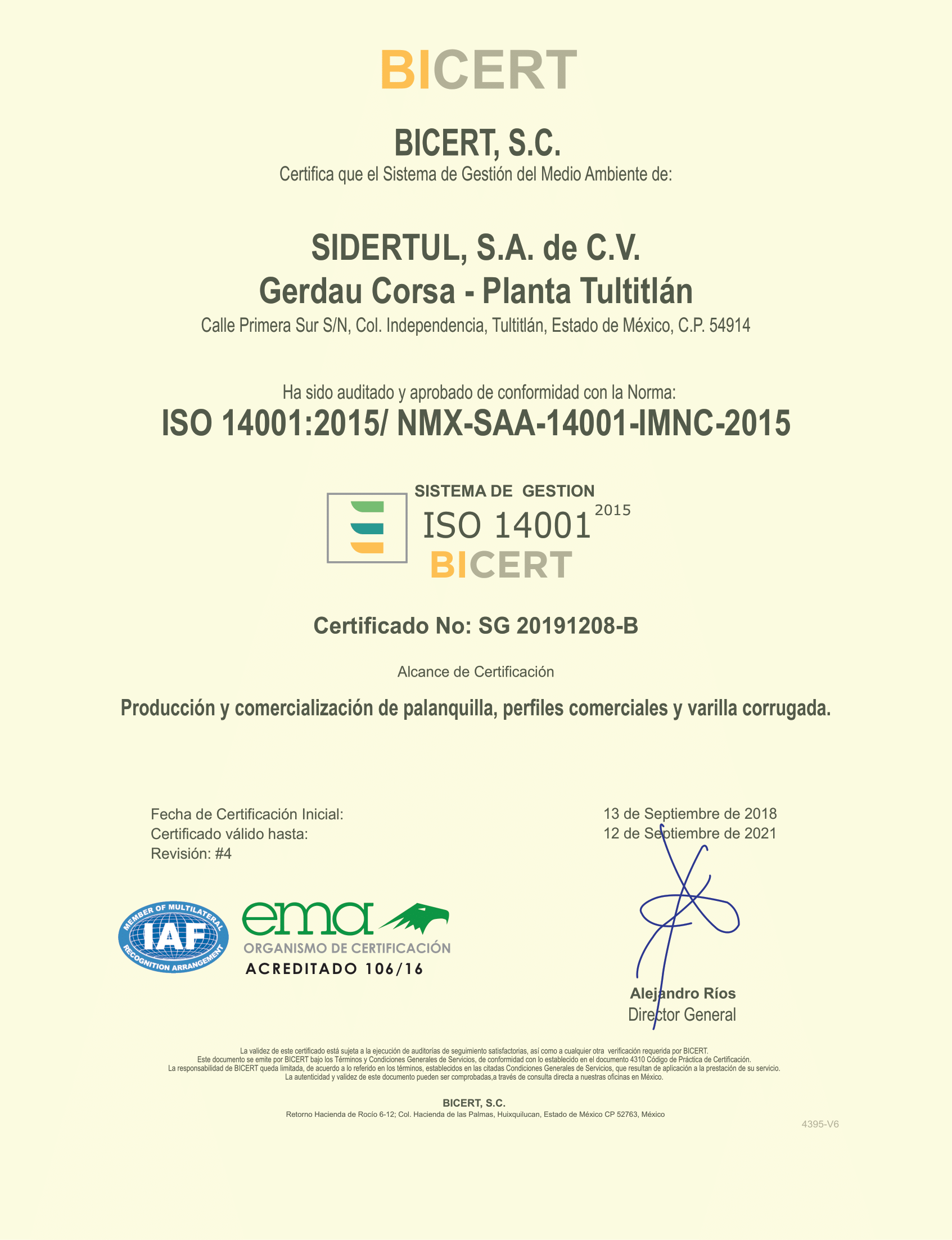 ISO 45001 Gerdau Corsa