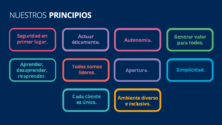 perfil-principios