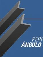 Ángulo LI