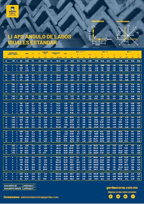 Ficha Técnica del Ángulo LI